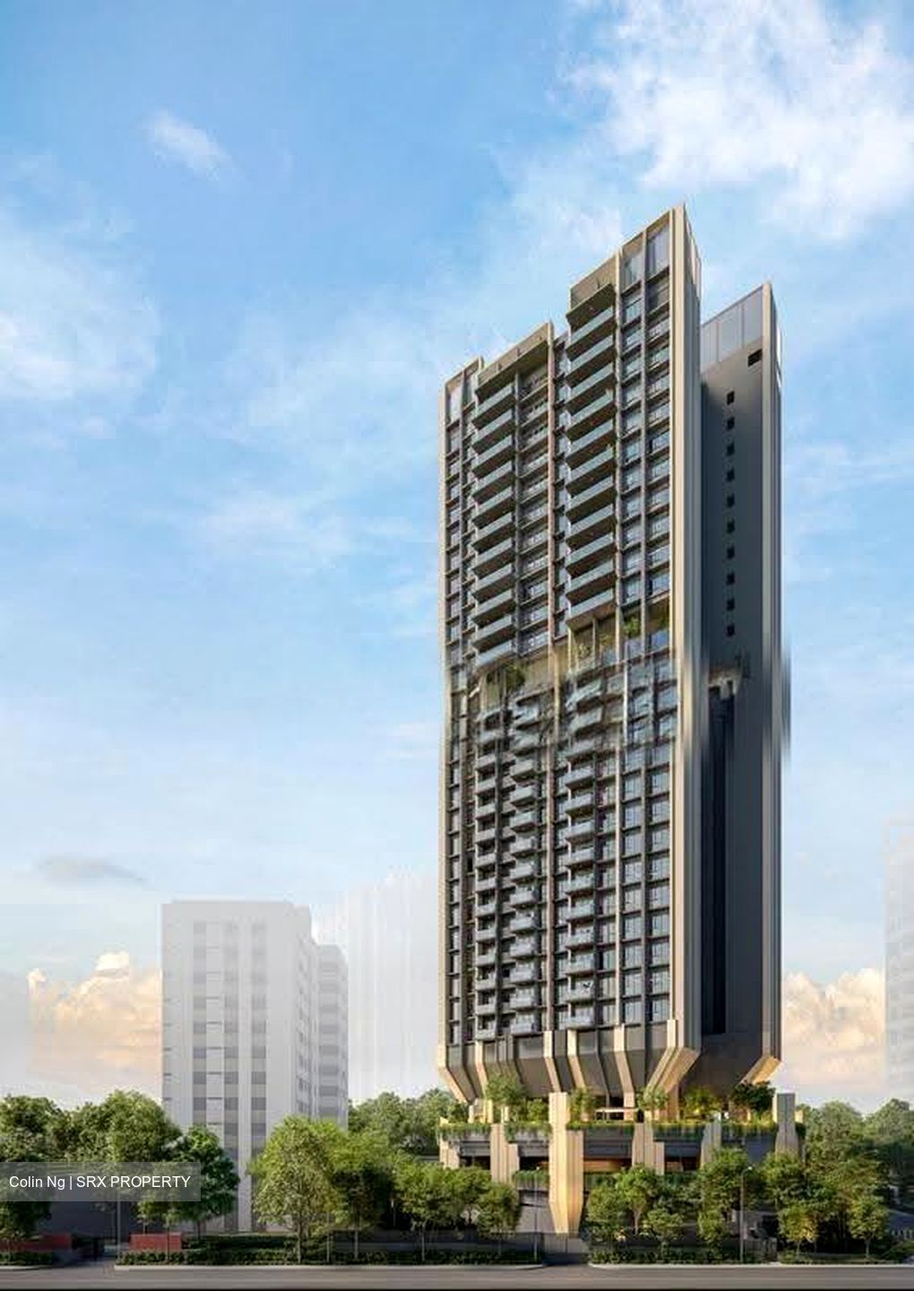 Pastoral View (D11), Apartment #624538241
